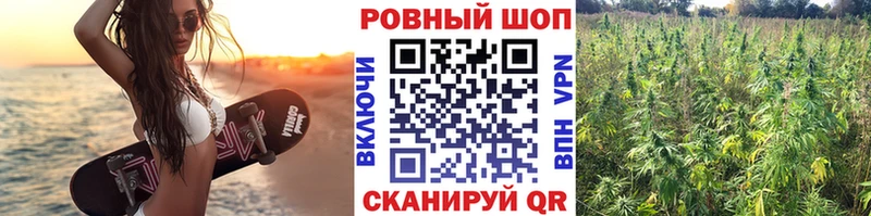Что такое Светогорск Амфетамин  ОМГ ОМГ маркетплейс  Меф  Экстази  МАРИХУАНА  СОЛЬ 