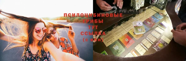 альфа пвп Заволжск