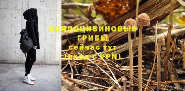 альфа пвп Заволжск