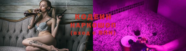 молекула духа Заводоуковск