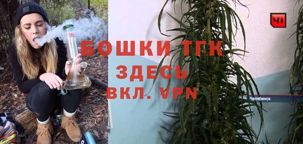 молекула духа Заводоуковск