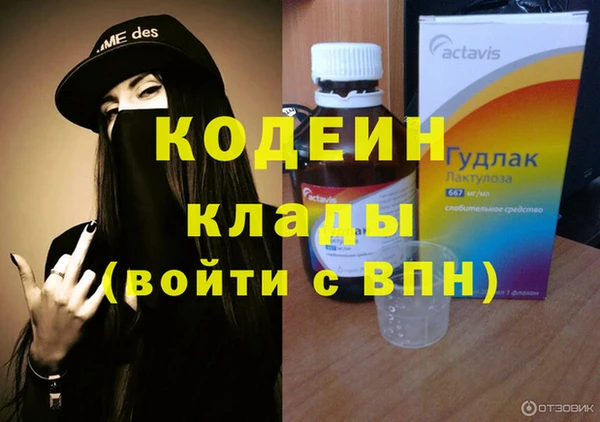 молекула духа Заводоуковск